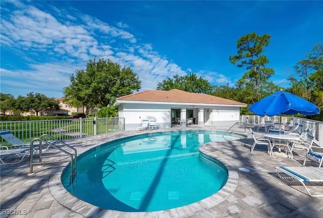 a garden view with plants and trees