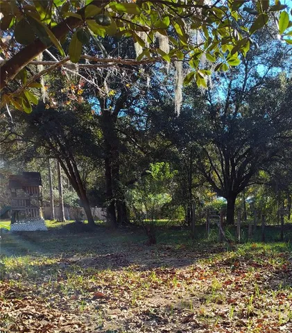 a view of a yard with plants and trees