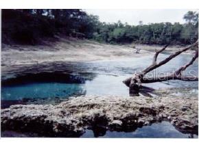 9 County Road Branford, FL 32008 - Photo 1 of 1