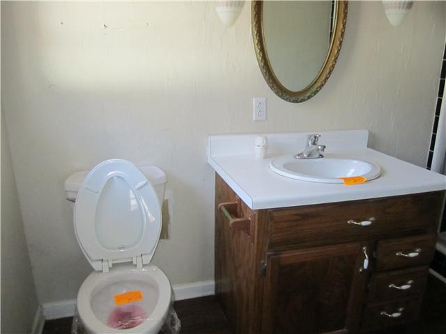 3570 Buffalo Road Summertown, TN 38483 - Photo 14 of 20 Master Bath Commode & Vanity