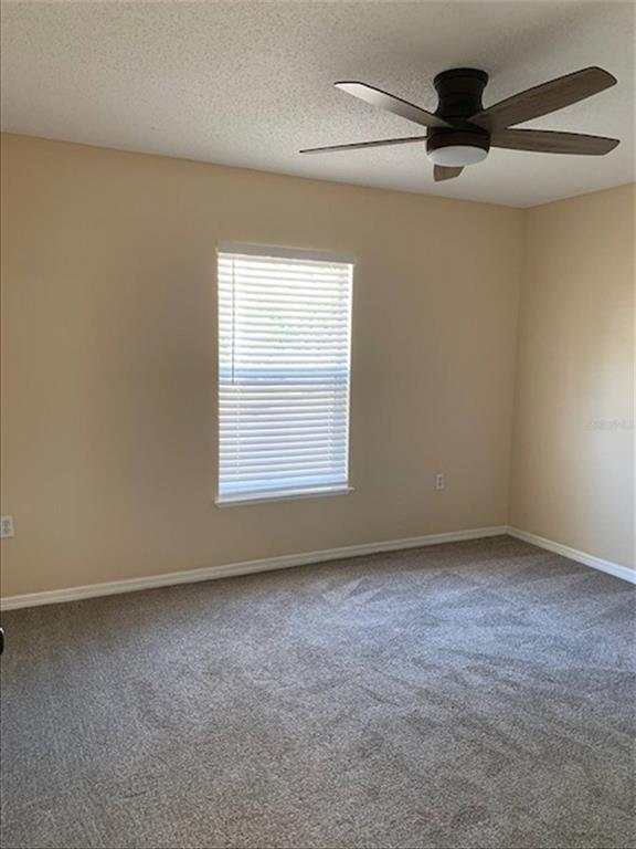 6209 Ansley Street Spring Hill, FL 34606 - Photo 11 of 17