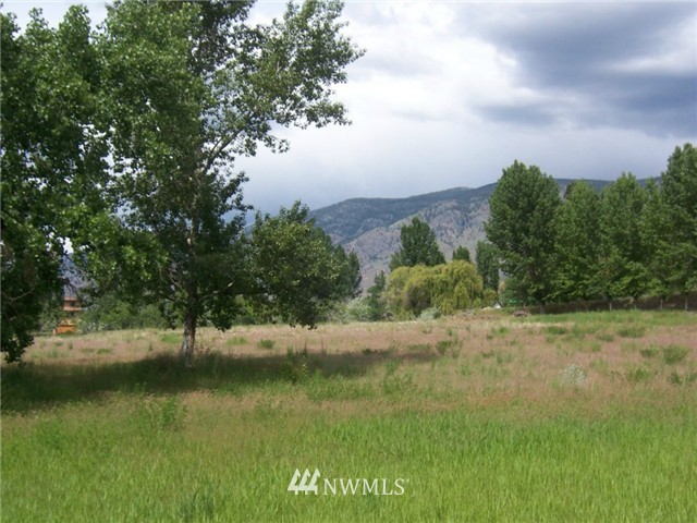 27 Champerty Road Oroville, WA 98844 - Photo 2 of 20 Gallery Image 2