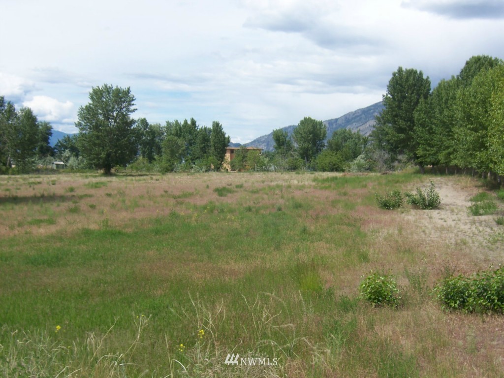 27 Champerty Road Oroville, WA 98844 - Photo 7 of 20 Gallery Image 7