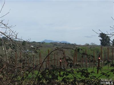 5801 Ross Branch Road Sebastopol, CA 95472 - Photo 4 of 12 a view of a city with lush green forest