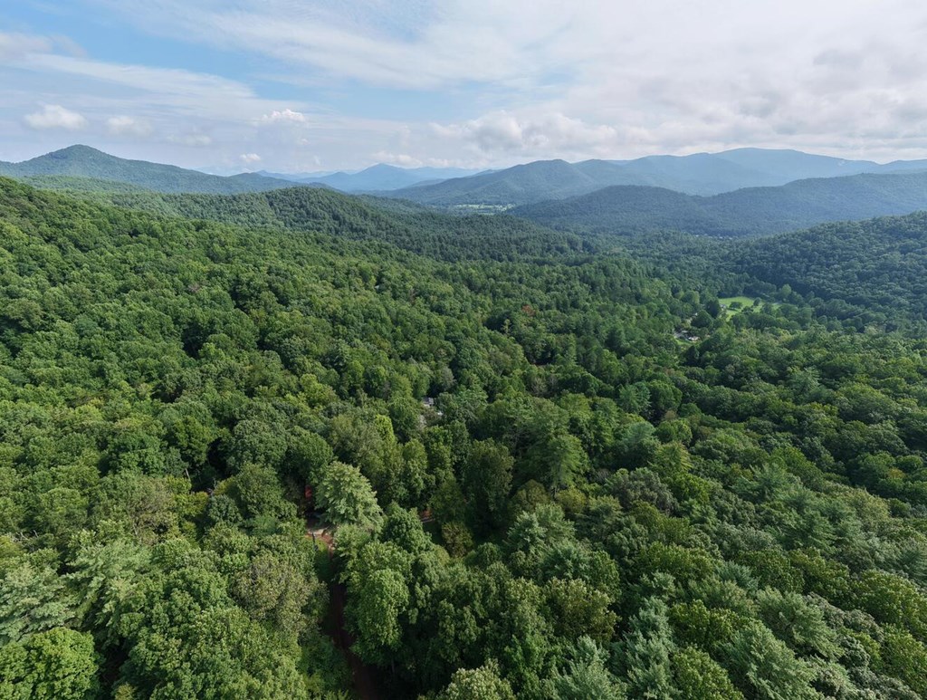 1275 Taylor Road Hiawassee, GA 30546 - Photo 55 of 56 Gallery Image 55