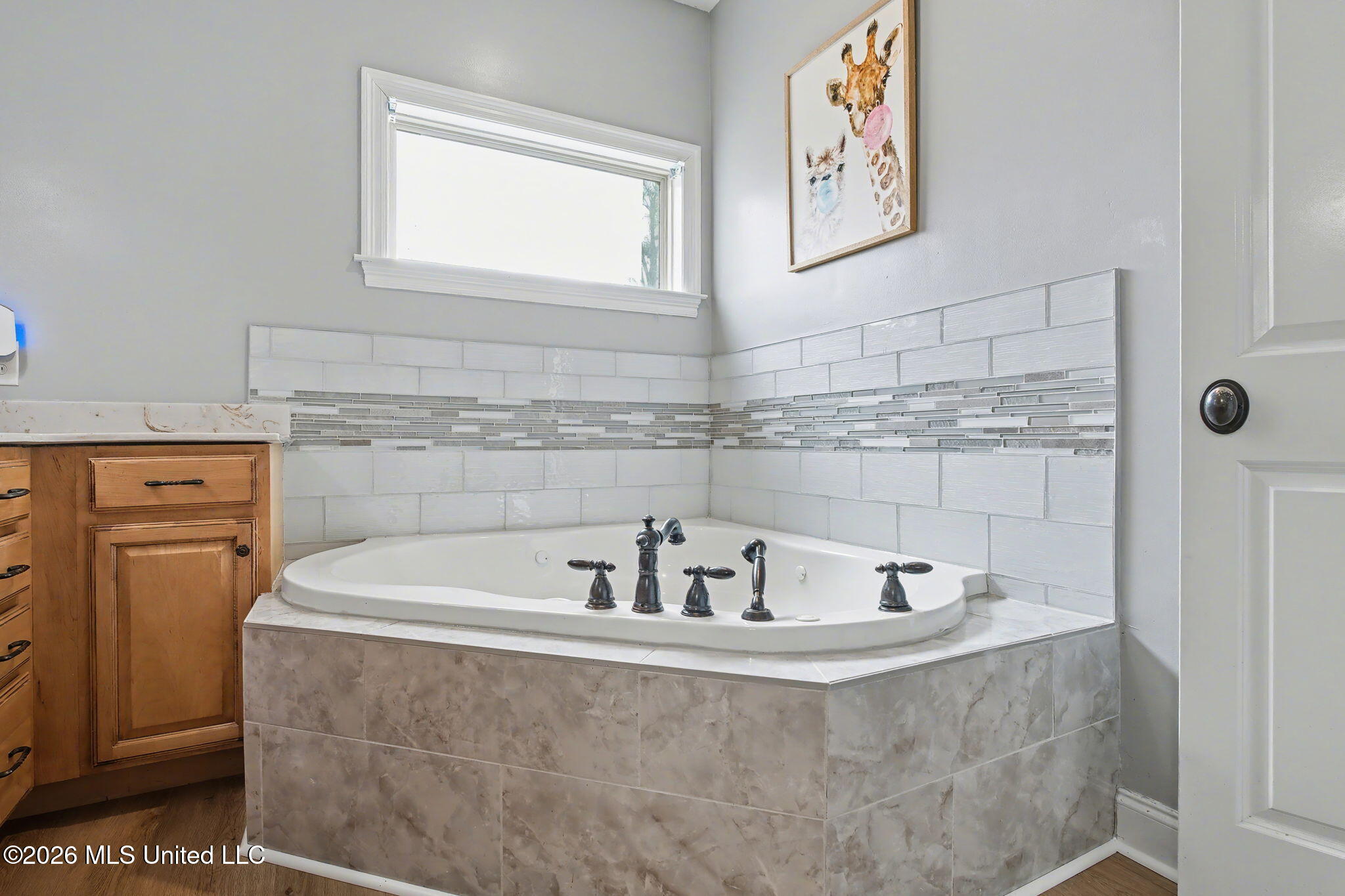 1785 Cashion Cove Hernando, MS 38632 - Photo 27 of 51 Primary Bathroom