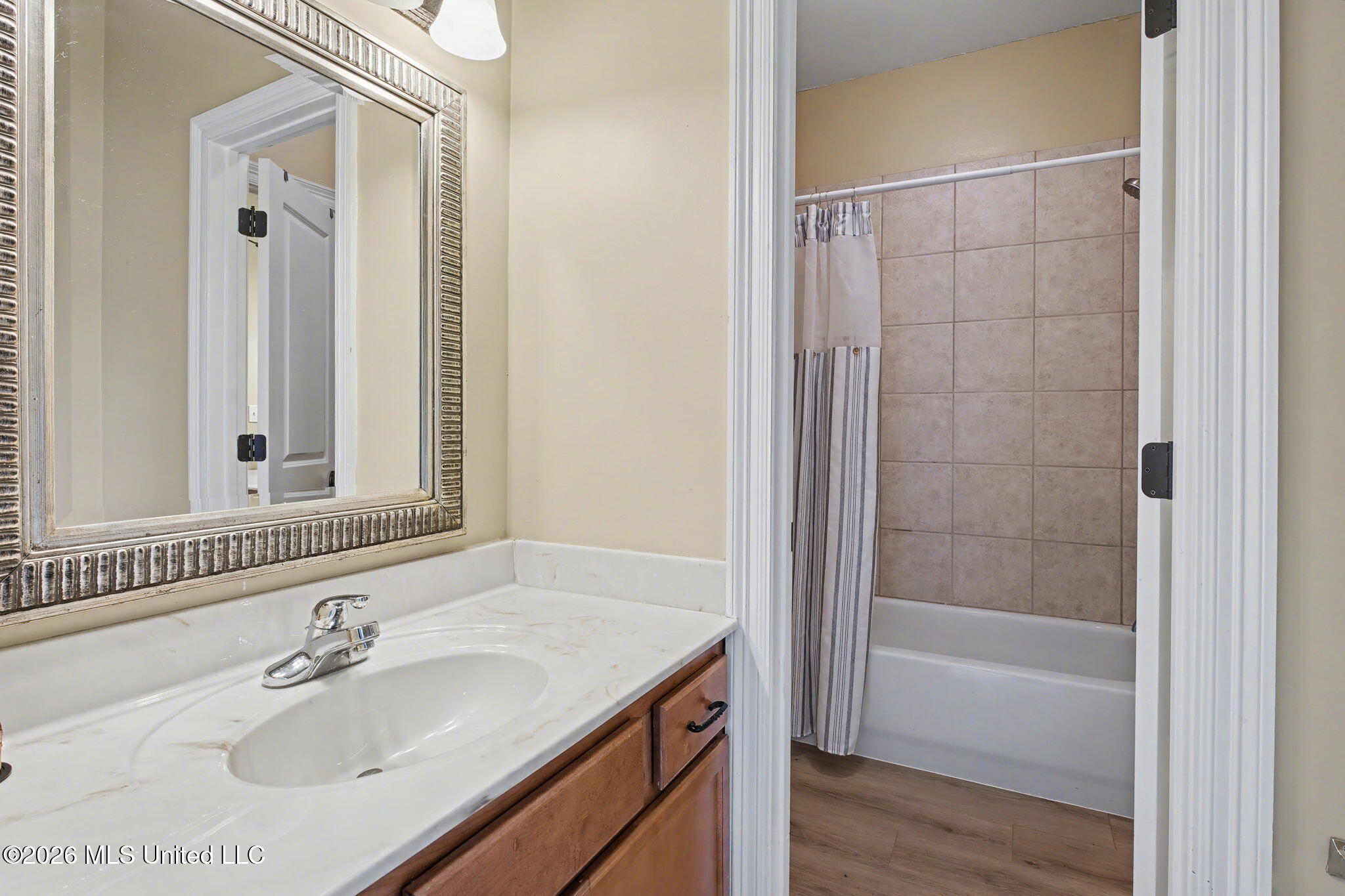 1785 Cashion Cove Hernando, MS 38632 - Photo 31 of 51 Jack N Jill Bath