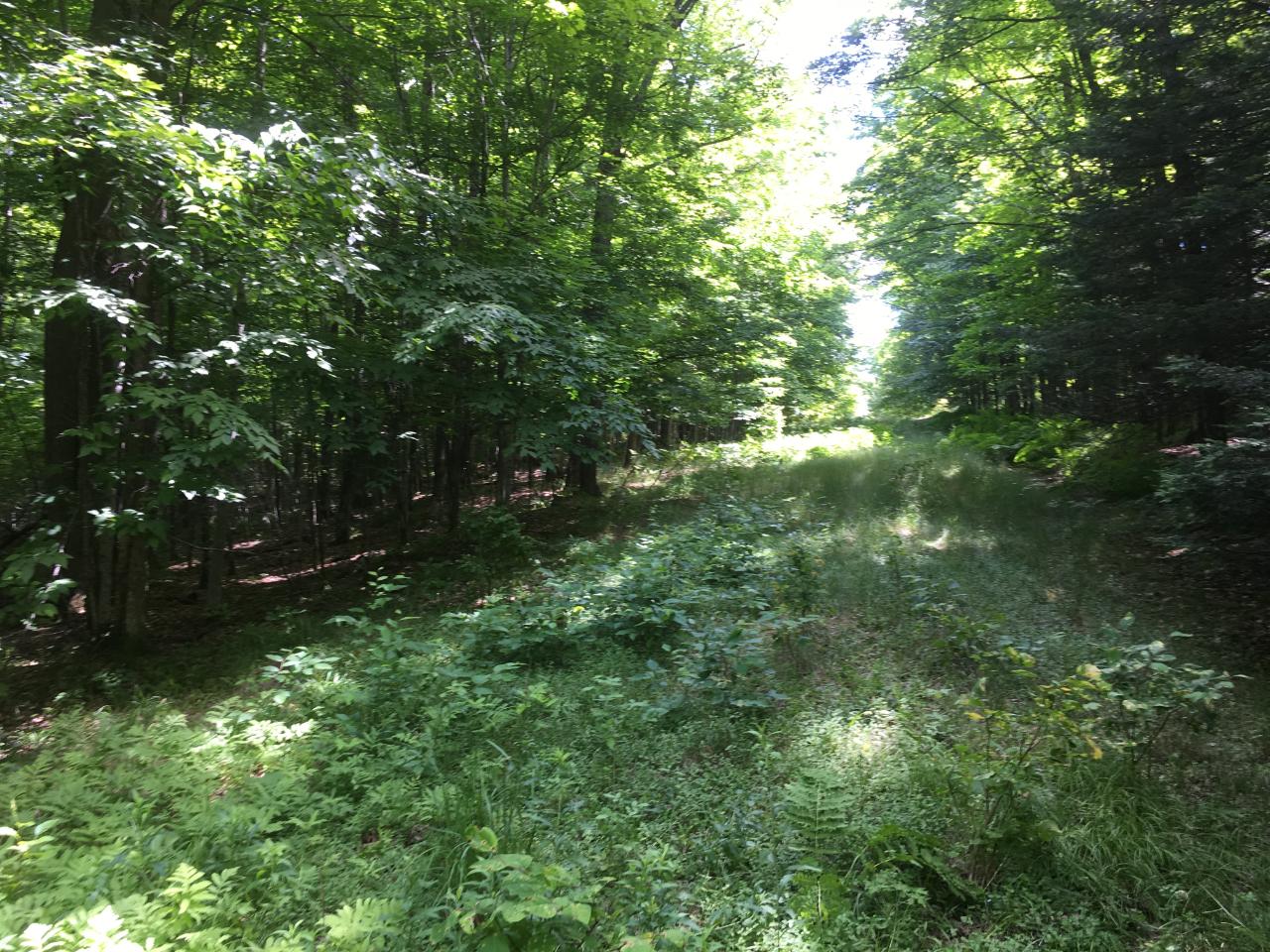 Lot 1-on Lot 1-on Deer Path Road Phelps, WI 54554 - Photo 25 of 27 Gallery Image 25