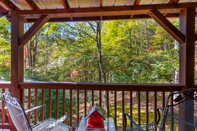 164 Beaver Ridge Road Murphy, NC 28906 - Photo 10 of 86 Gallery Image 10
