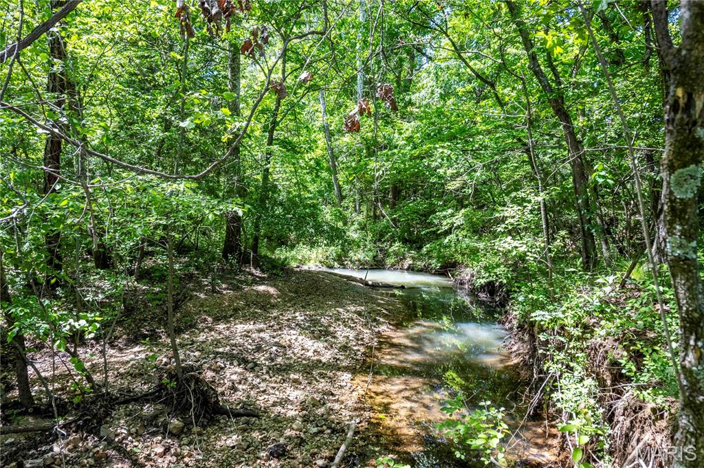 2126 Krenning Road Beaufort, MO 63013 - Photo 78 of 99