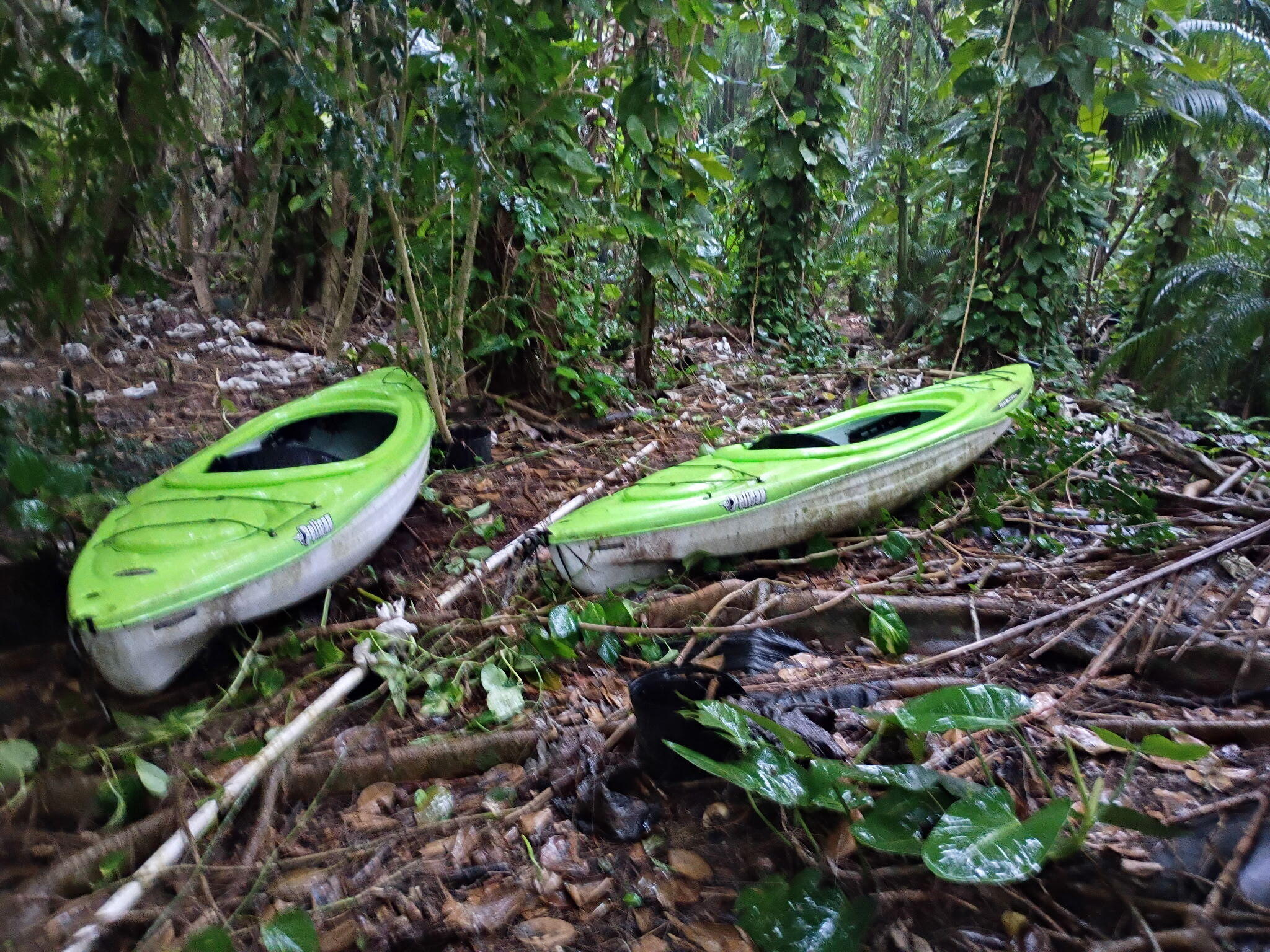 16038 Robin Way Jupiter, FL 33478 - Photo 5 of 11 5753140101303260856