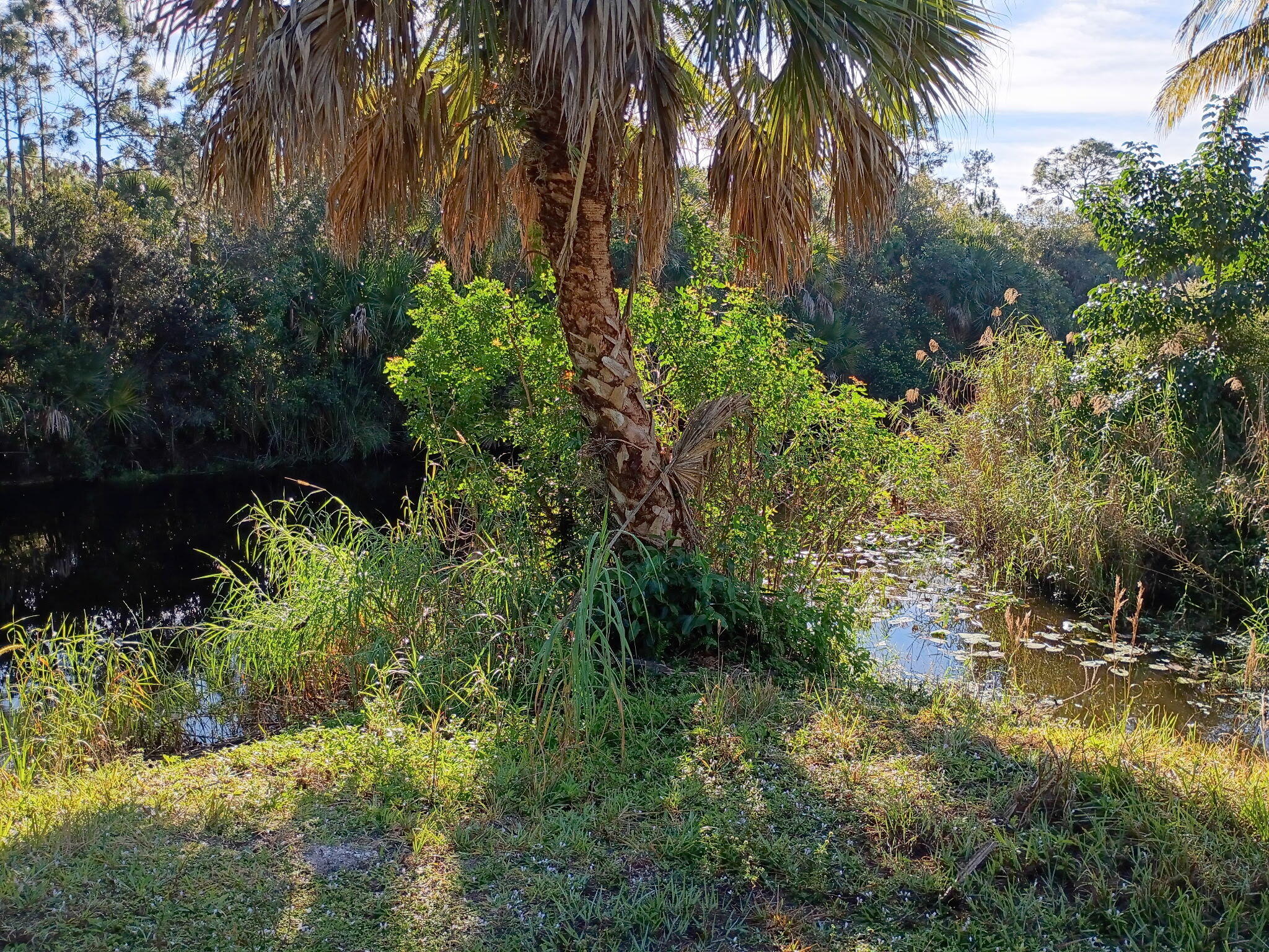 16038 Robin Way Jupiter, FL 33478 - Photo 6 of 11 5349614925225725948 (1)