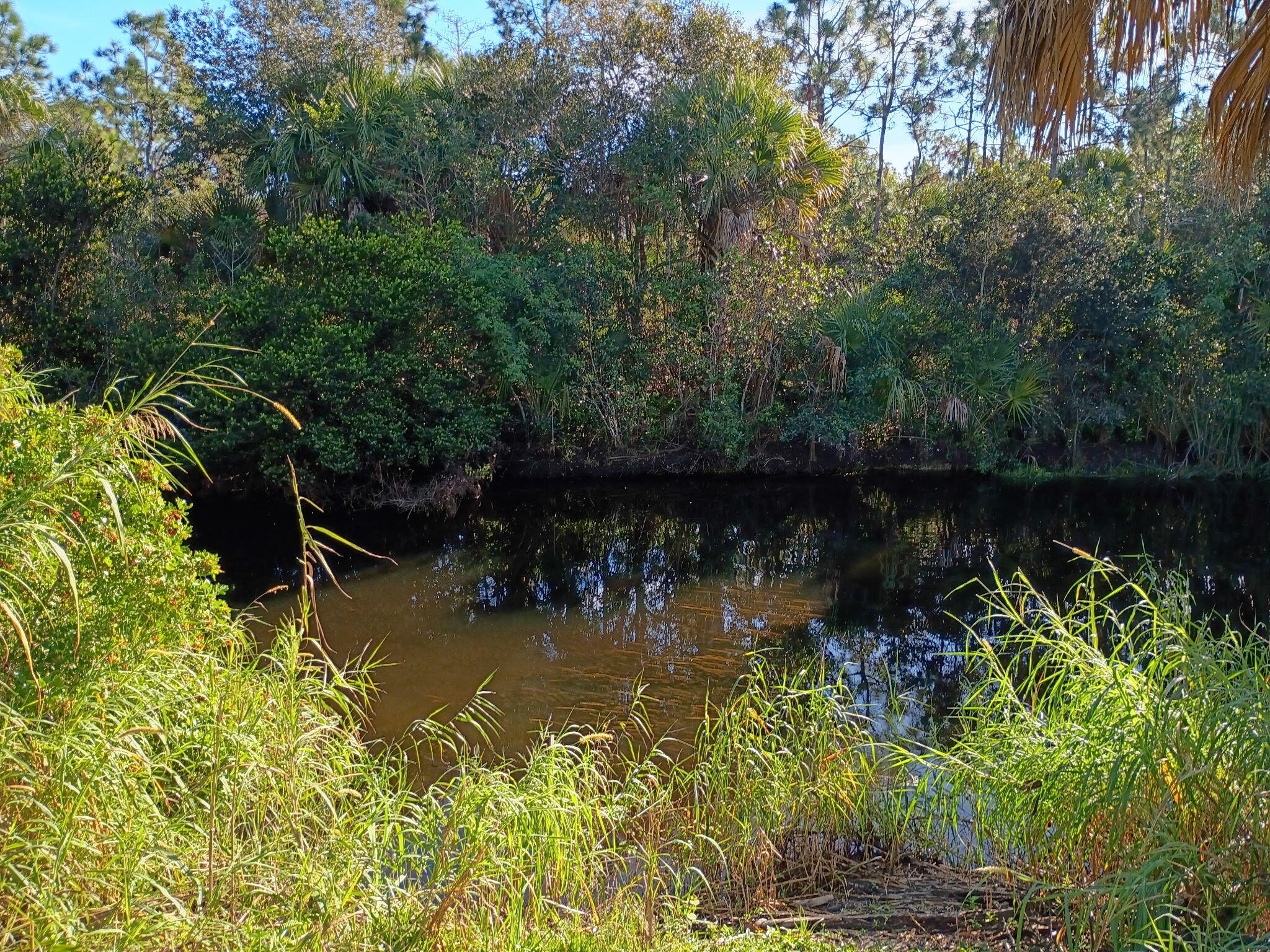 16038 Robin Way Jupiter, FL 33478 - Photo 7 of 11 7680667591066135983
