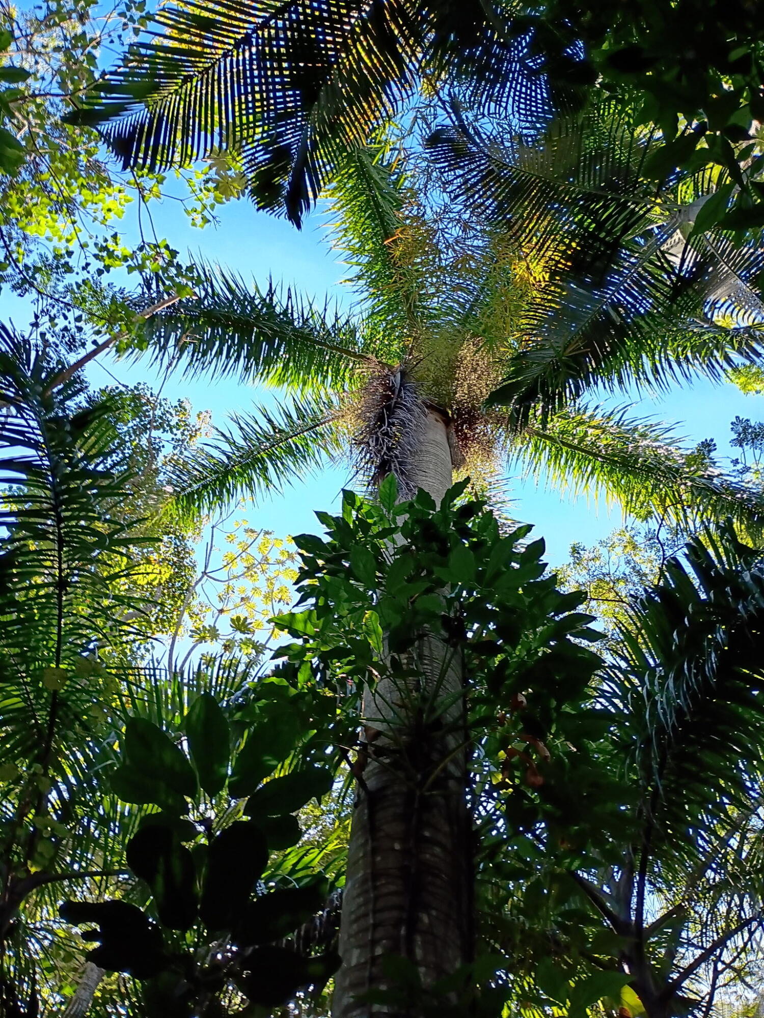 16038 Robin Way Jupiter, FL 33478 - Photo 9 of 11 6844193142588094618 (1)