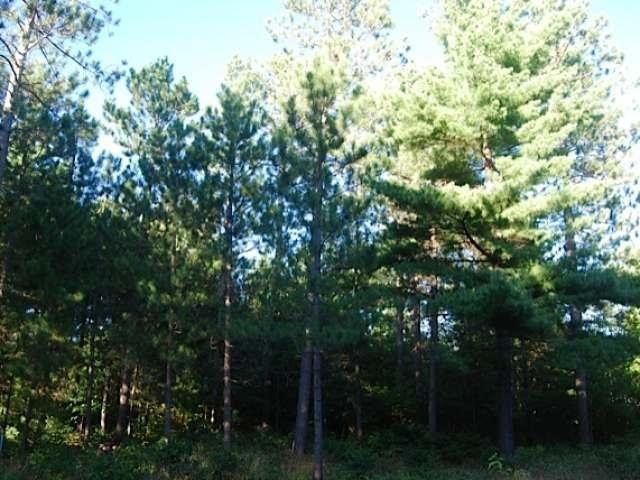 Lot #10 Ralph Lane Tomahawk, WI 54487 - Photo 14 of 22 Gallery Image 14