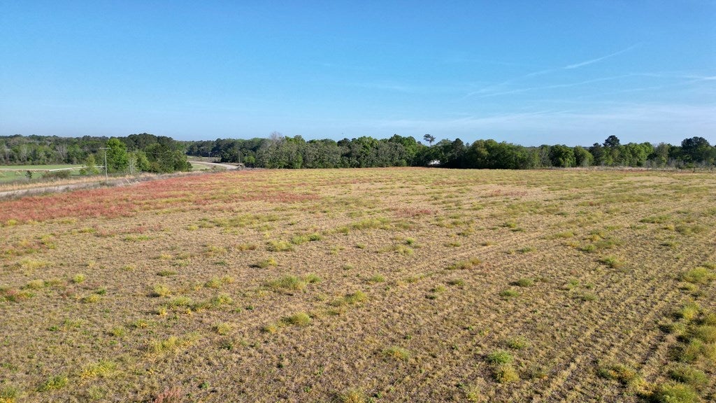 Vacant Hempstead Church Road Moultrie, GA 31788 - Photo 10 of 19 Gallery Image 10