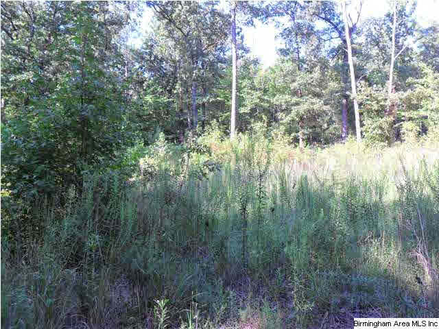 2485 Smokey Road, Unit 4 AC Alabaster, AL 35007 - Photo 2 of 3