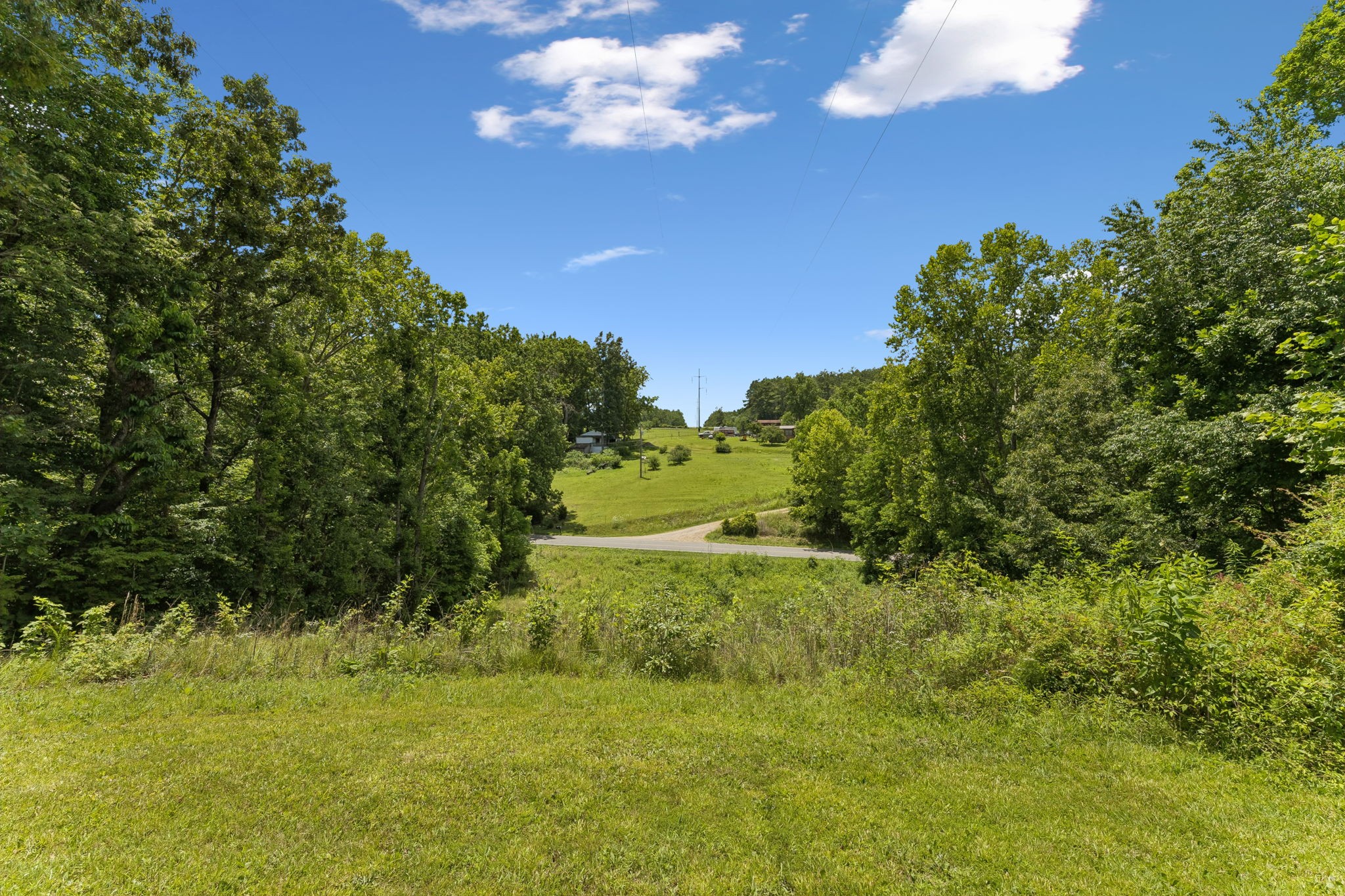 7368 Walker Road Fairview, TN 37062 - Photo 48 of 74