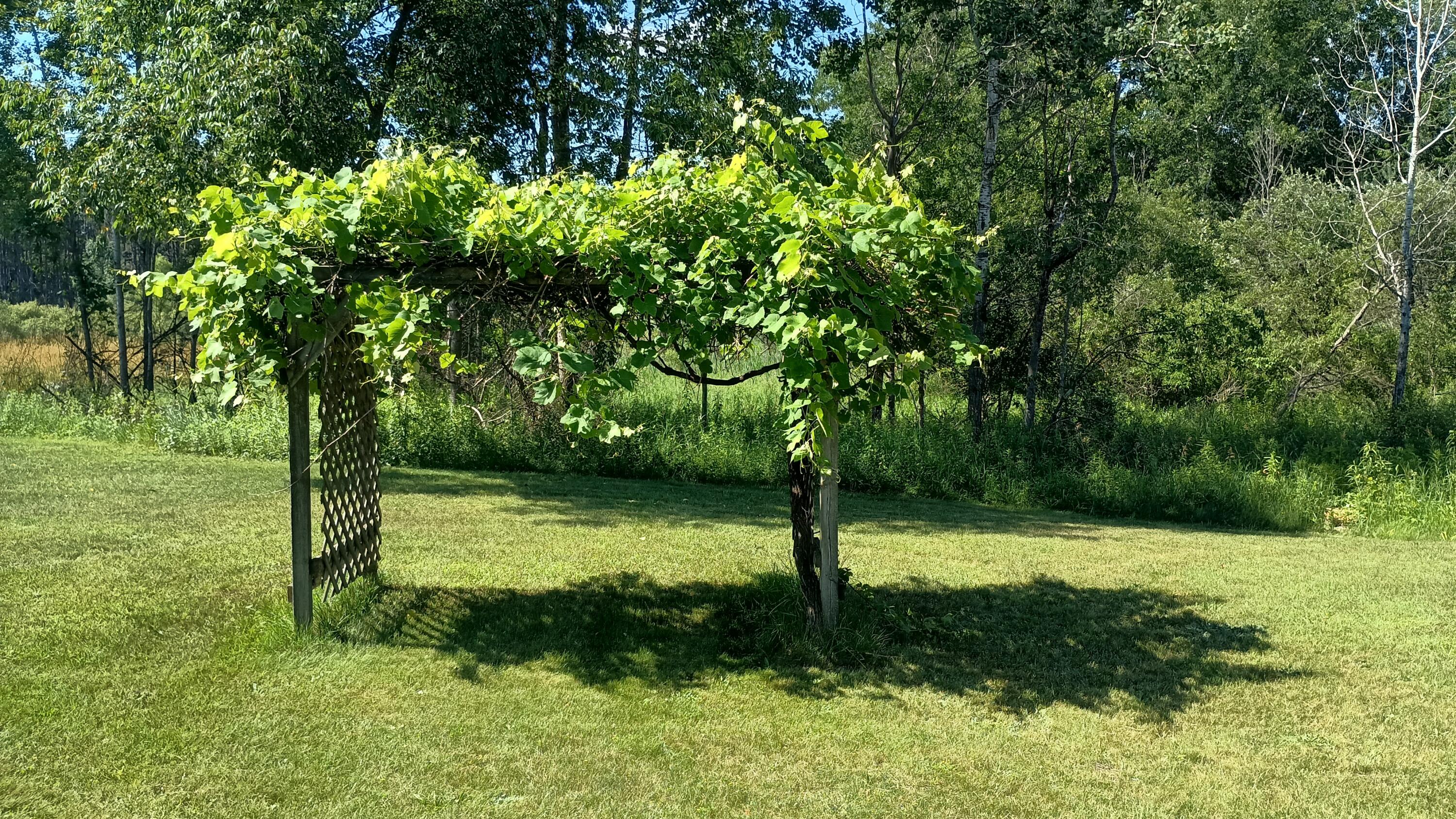 301 South Gordon Road Scottville, MI 49454 - Photo 26 of 41 IMG_20260710_111341244_HDR