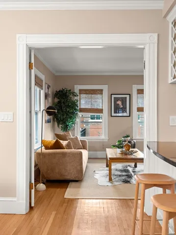 a living room with furniture and a potted plant