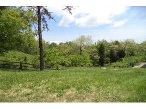 241 Hood Road Kingsport, TN 37660 - Photo 16 of 16 Photo 16