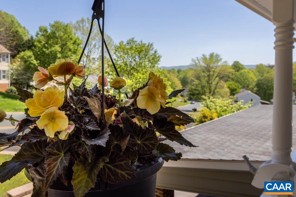 1107 Raintree Drive Charlottesville, VA 22901 - Photo 6 of 75 Gallery Image 6