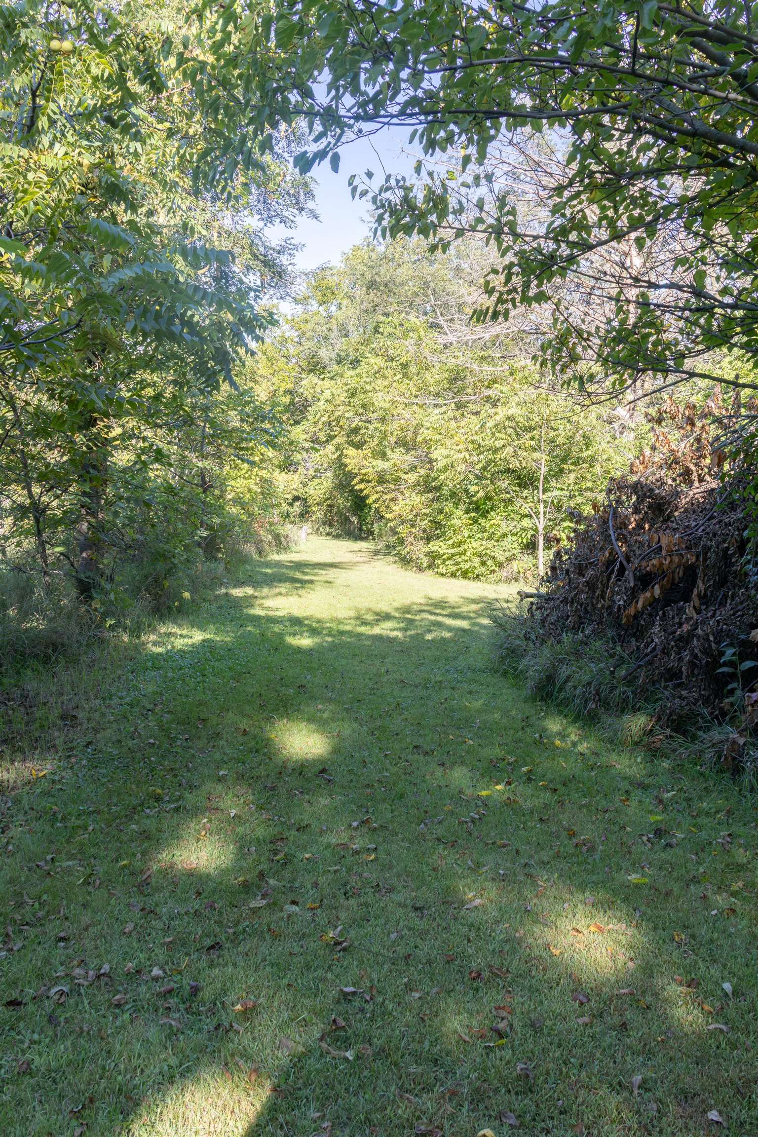 10520 Cemetery Road Pecatonica, IL 61063 - Photo 22 of 23 a view of yard with green space