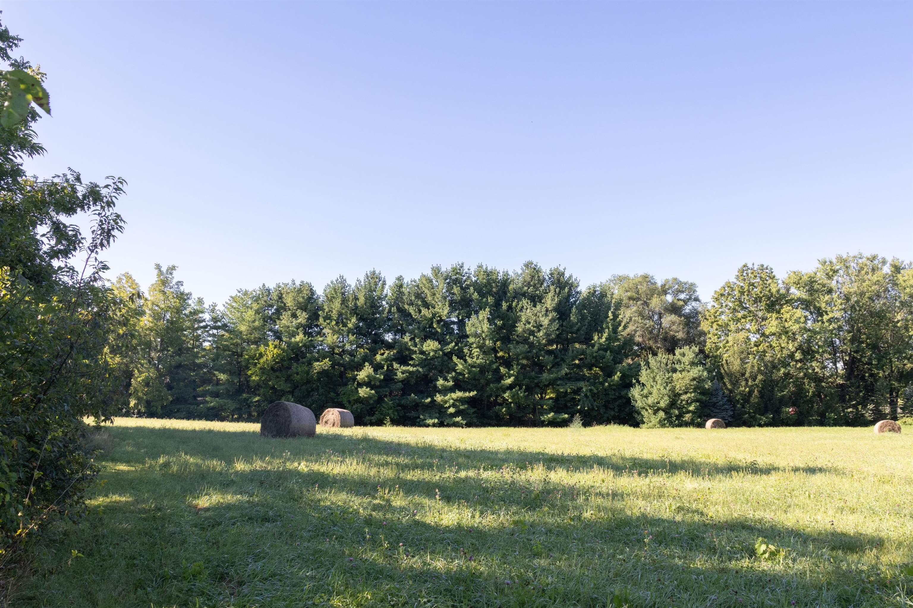 10520 Cemetery Road Pecatonica, IL 61063 - Photo 23 of 23 a view of a yard with a trees