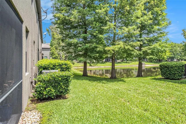 a view of a yard with large trees