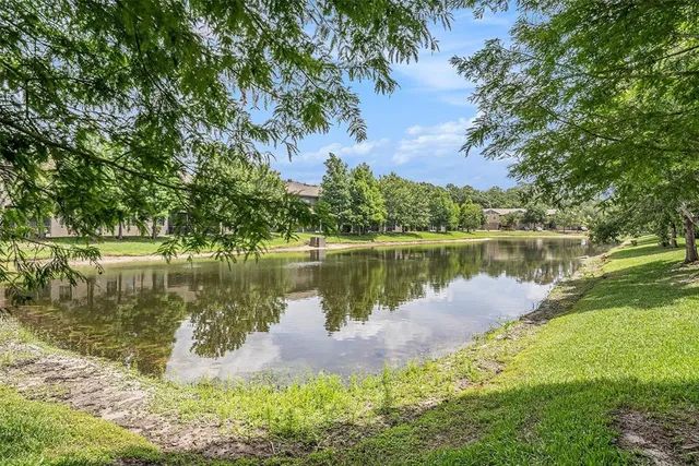 a body of water with a tree in the background