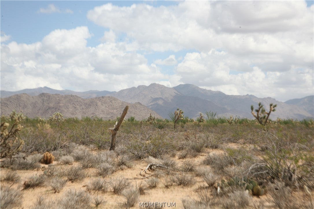 016 South Gene Autry Road Yucca, AZ 86438 - Photo 4 of 38 Gallery Image 4