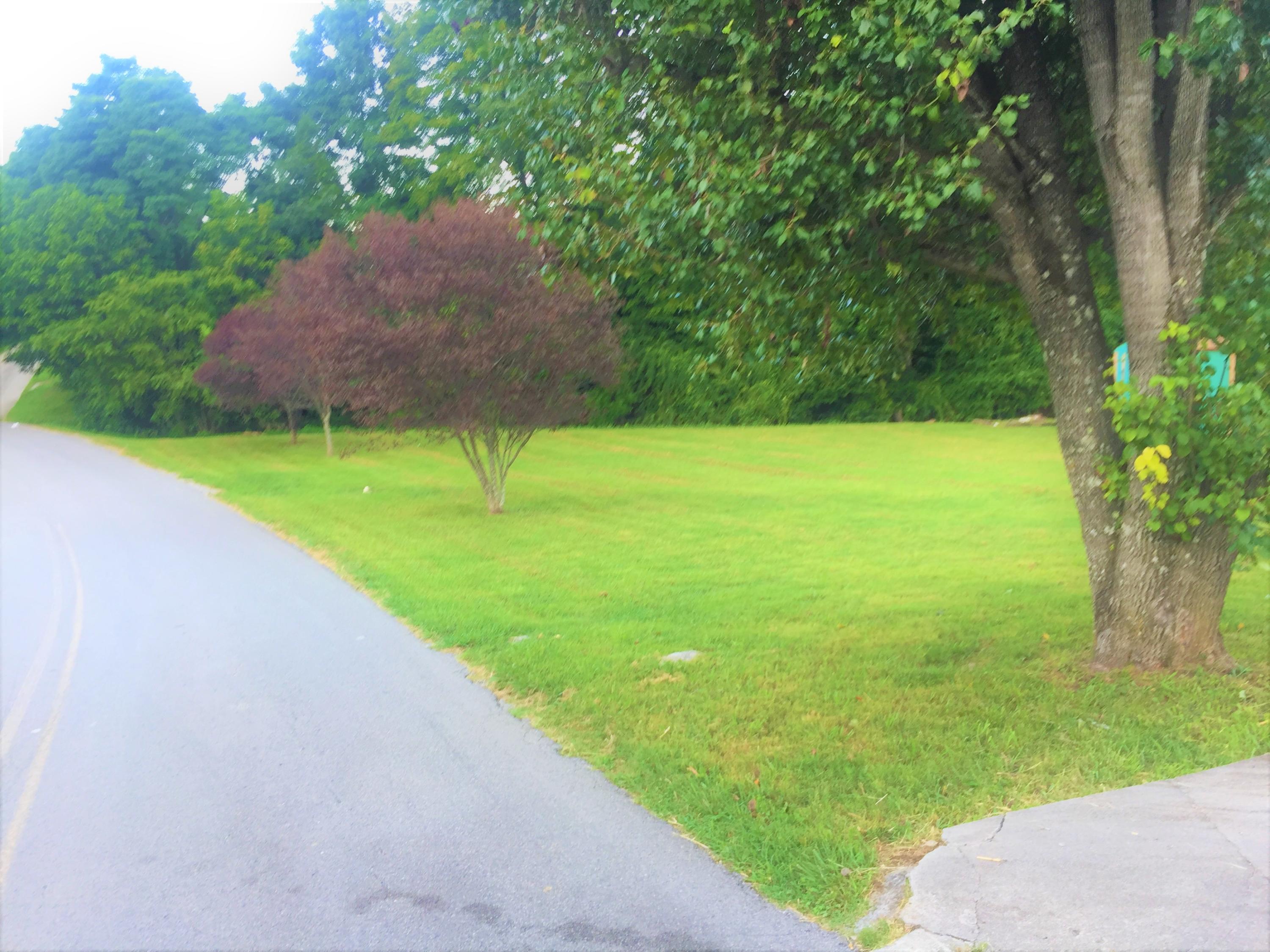 236 Johnson Road Maynardville, TN 37807 - Photo 11 of 11 IMG-2363