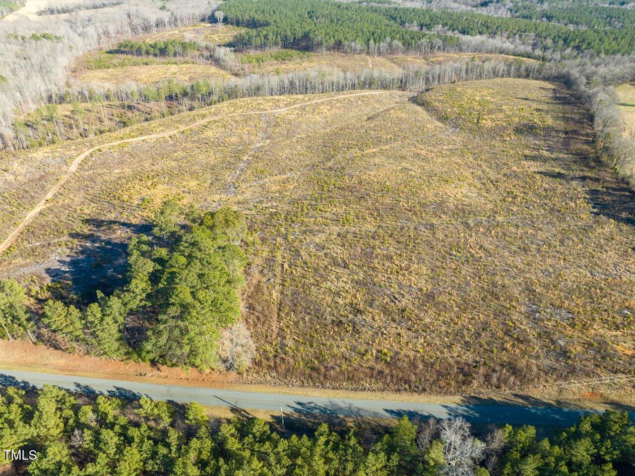 0 Roberts Chapel Church Road Goldston, NC 27252 - Photo 3 of 10