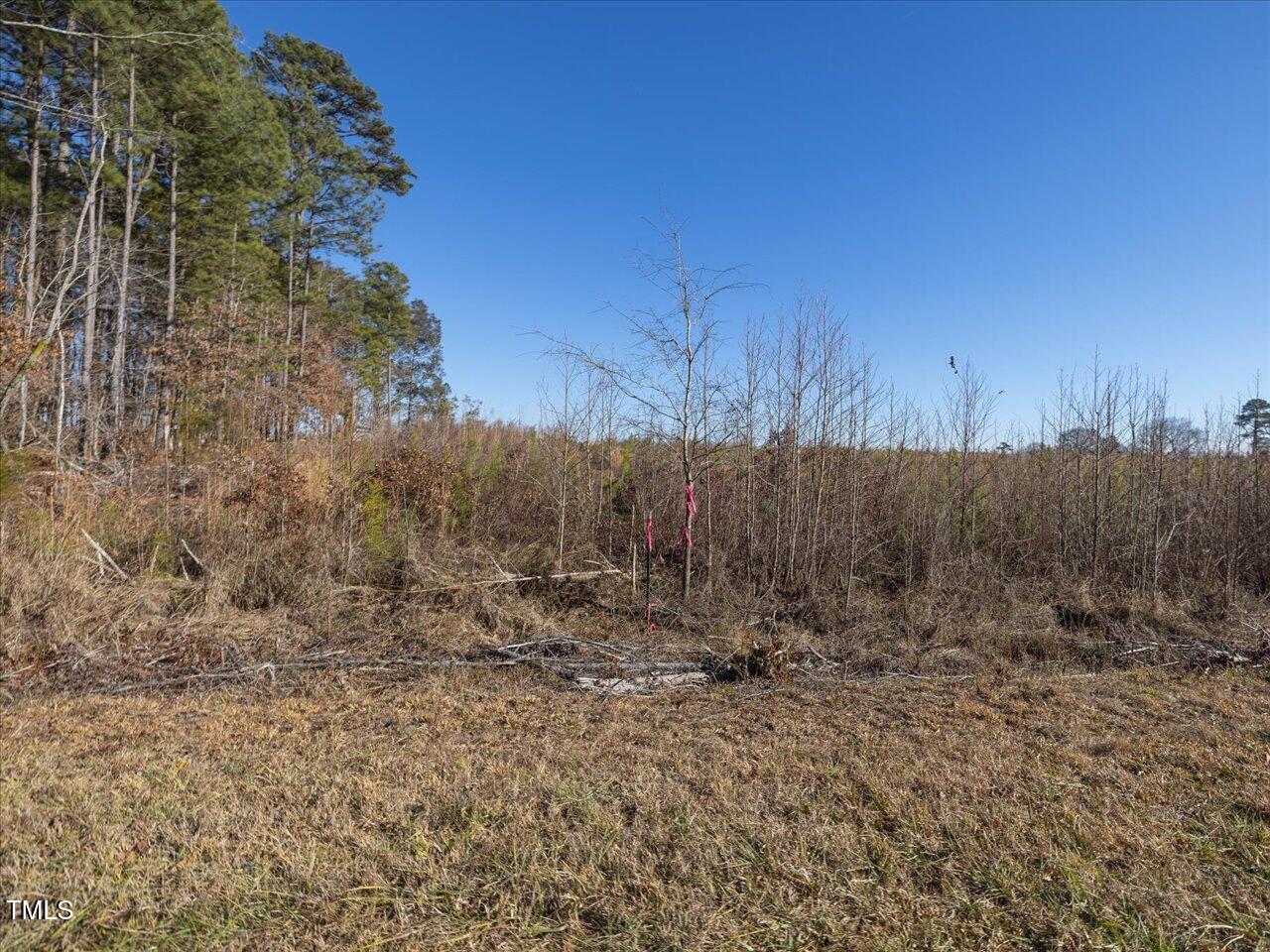 0 Roberts Chapel Church Road Goldston, NC 27252 - Photo 9 of 10 a view of a dry yard with trees