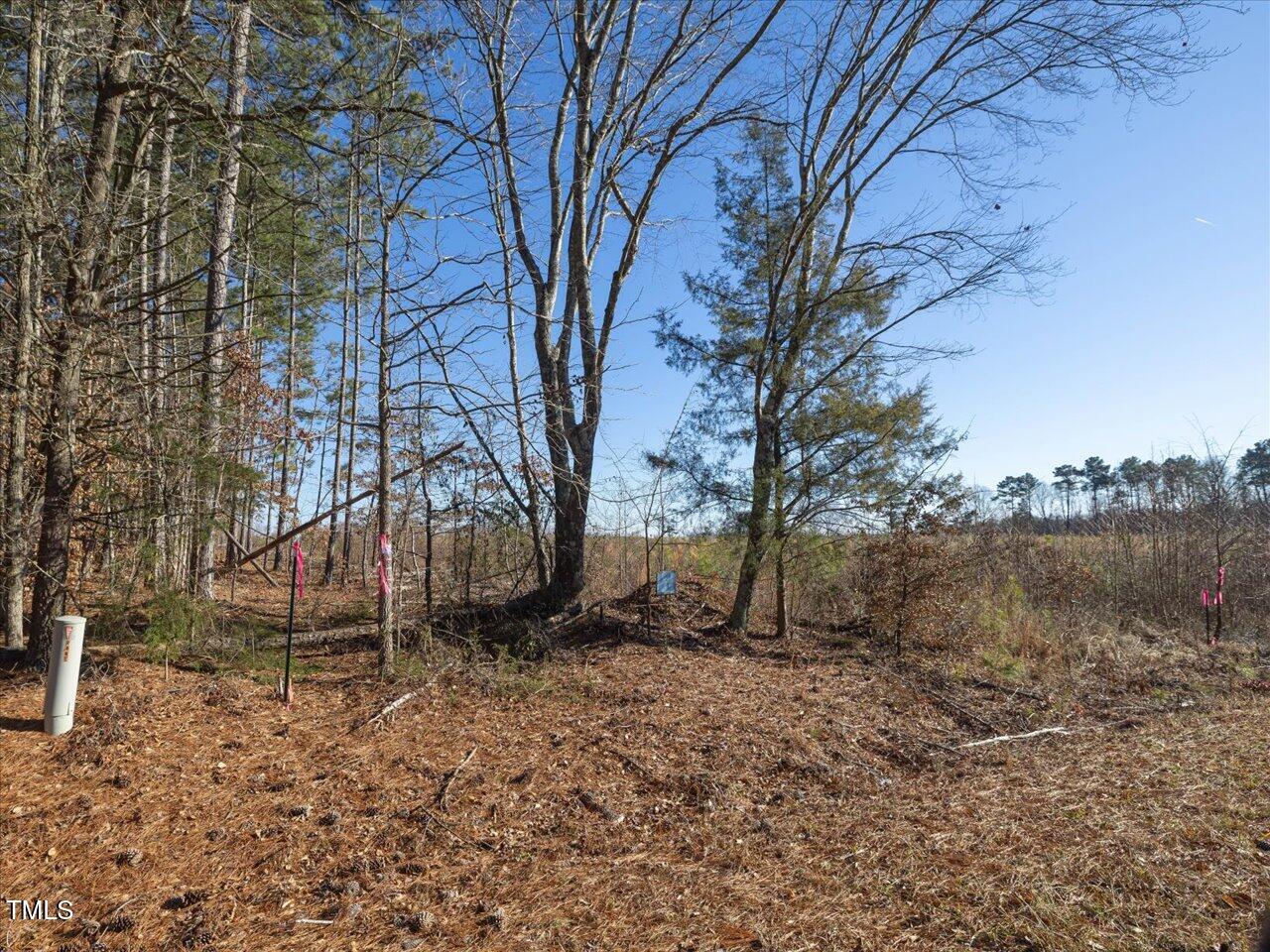 0 Roberts Chapel Church Road Goldston, NC 27252 - Photo 10 of 10 a backyard of a house with lots of green space