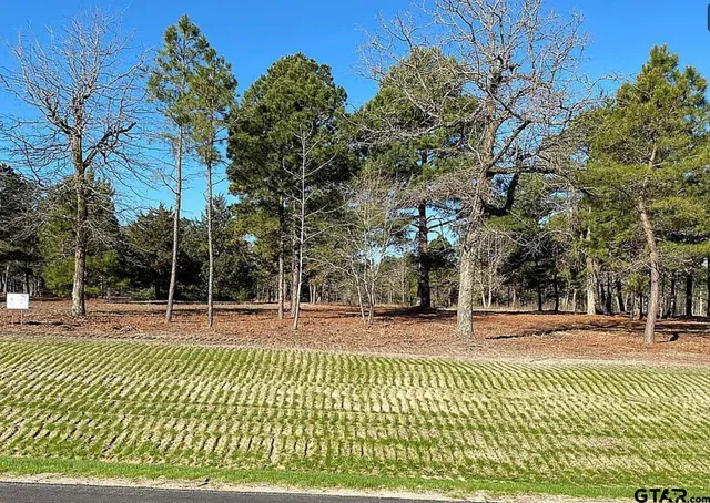 a view of a swimming pool with a house