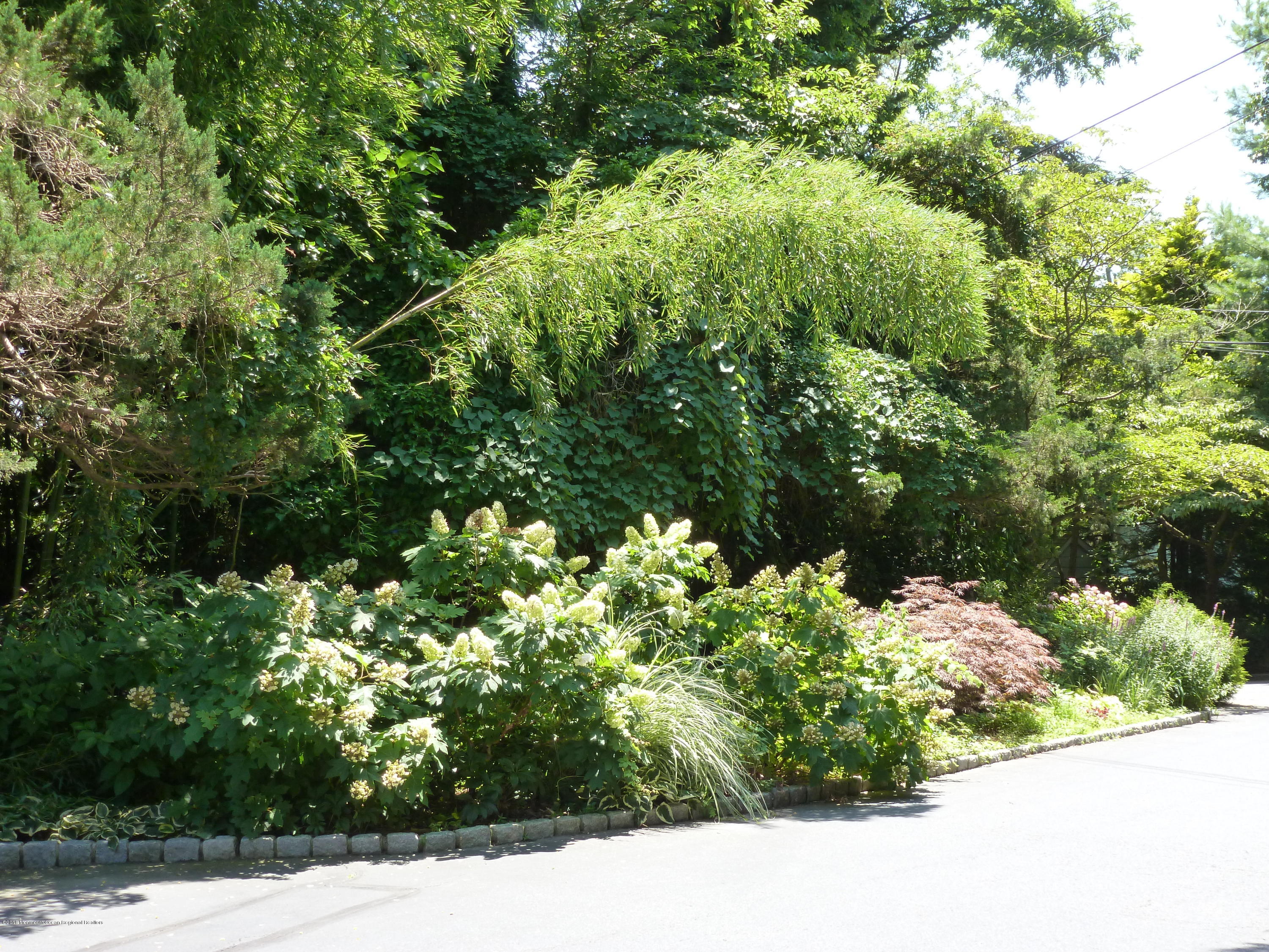608 Oakcrest Road Brielle, NJ 08730 - Photo 52 of 52 P1020951