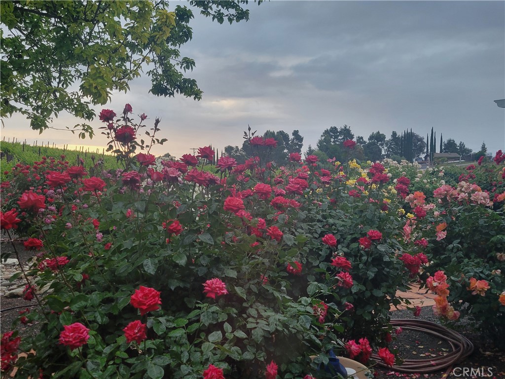 6172 Hawk Ridge Place San Miguel, CA 93451 - Photo 18 of 74