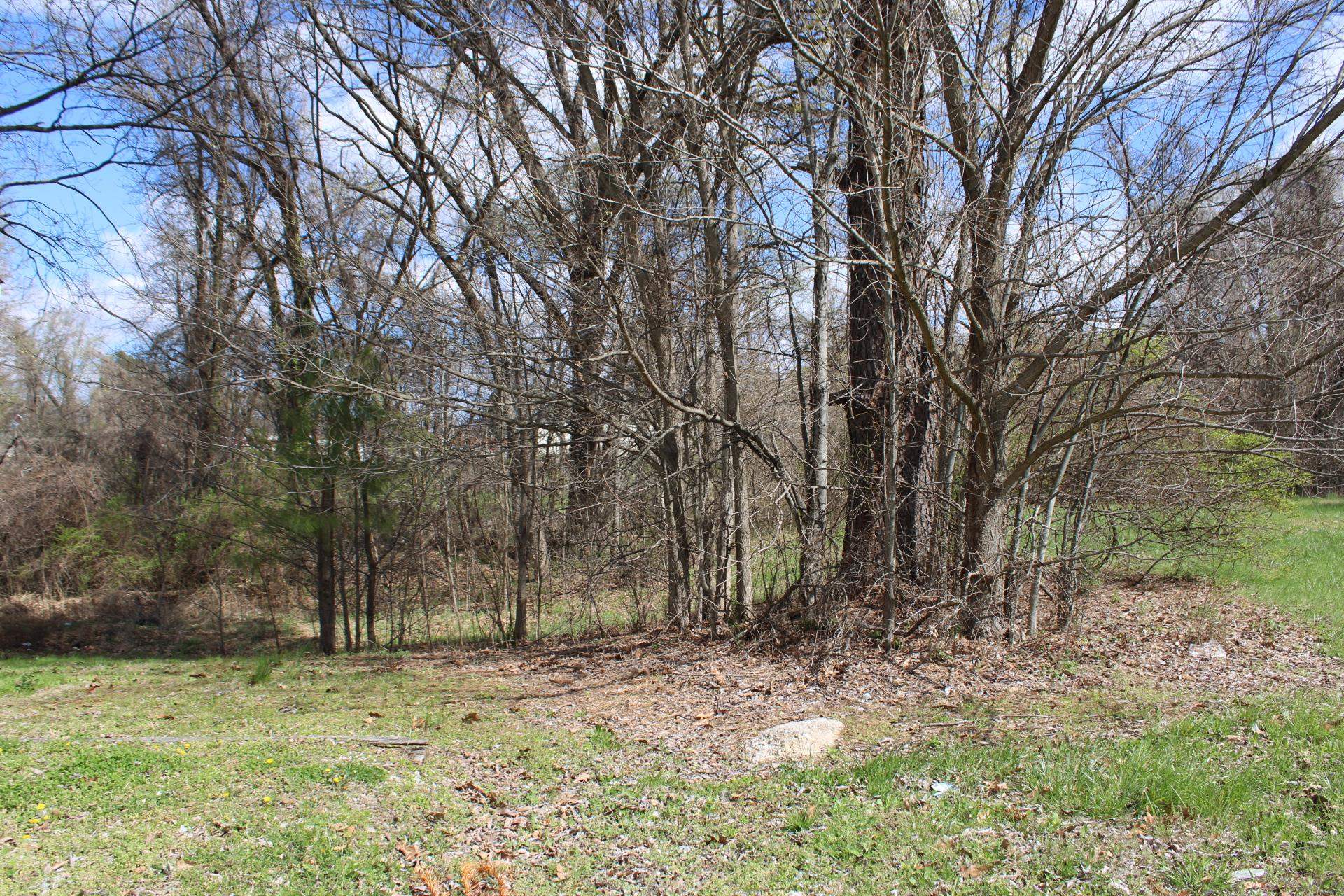 187 Land Avenue Ripley, TN 38063 - Photo 19 of 22 a backyard of a house with lots of green space