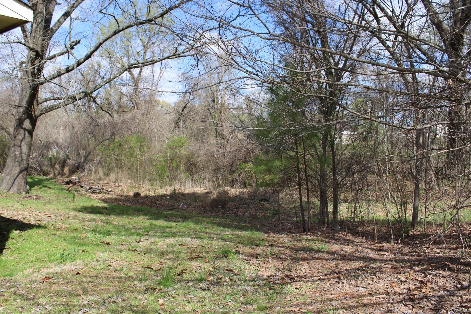 187 Land Avenue Ripley, TN 38063 - Photo 20 of 22 a backyard of a house with lots of green space