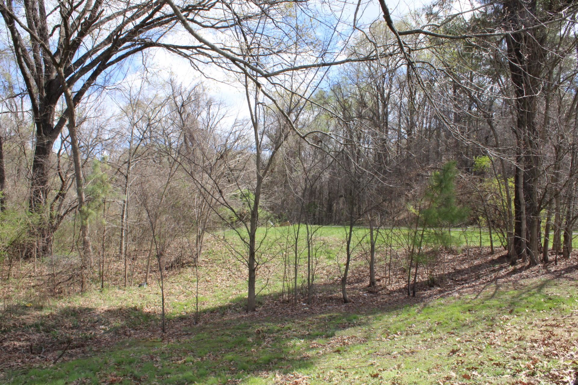 187 Land Avenue Ripley, TN 38063 - Photo 21 of 22 a view of a yard with a tree
