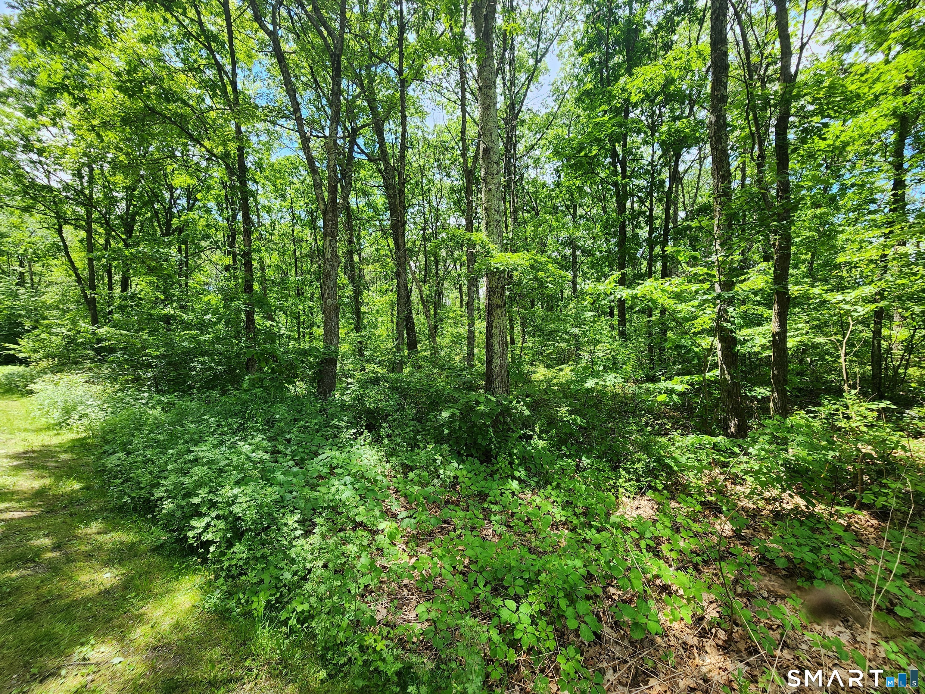 11 Old Paddock Lane Kent, CT 06785 - Photo 4 of 7