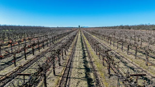 a picture of houses with outdoor space