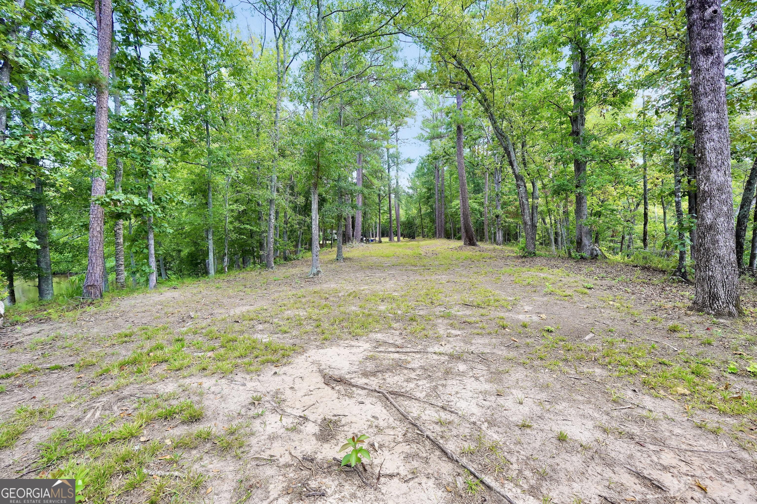 0 Scuffleboro Road Southeast Eatonton, GA 31024 - Photo 18 of 77 a view of a yard with trees in the background