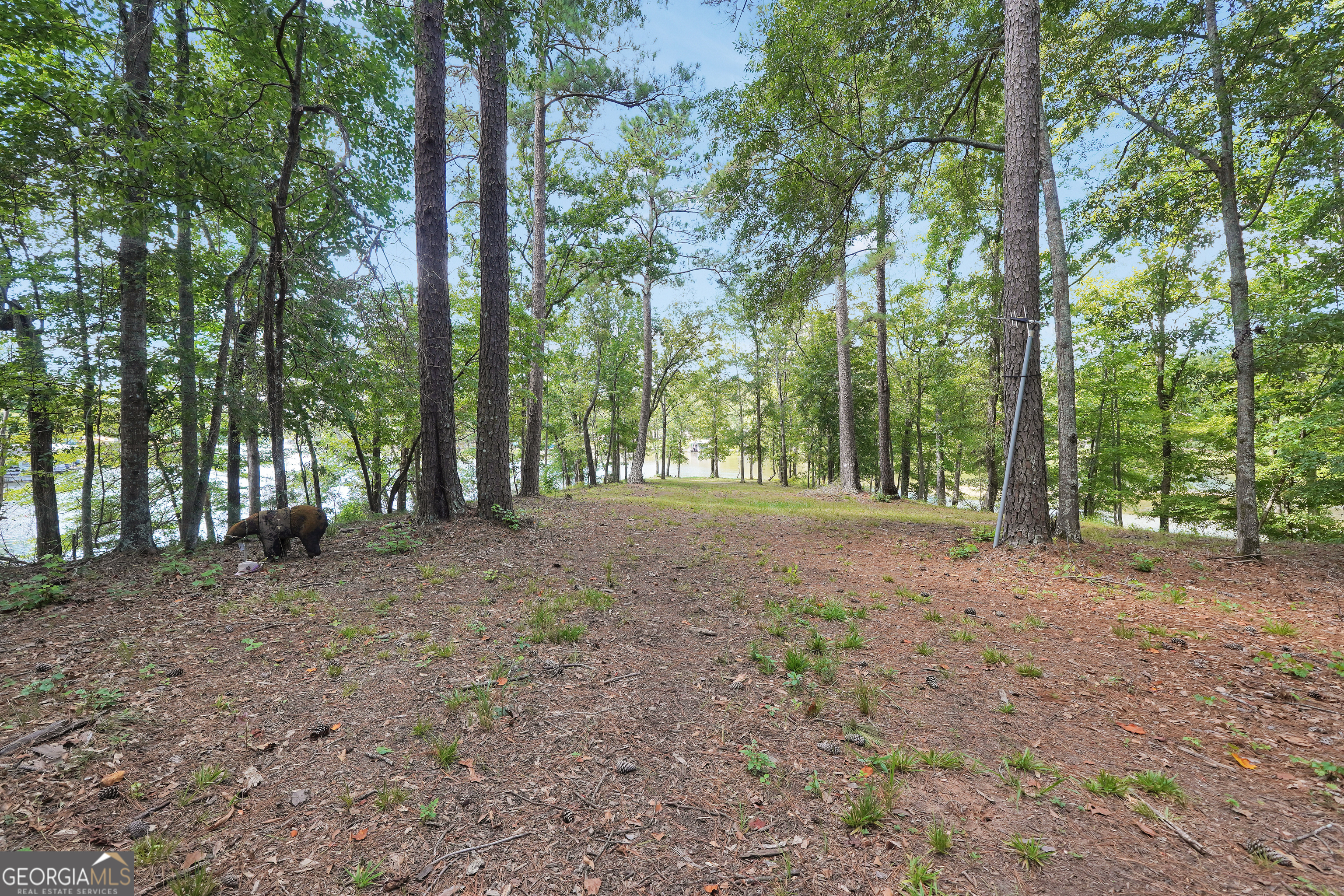 0 Scuffleboro Road Southeast Eatonton, GA 31024 - Photo 19 of 77 a view of a forest with trees in the background