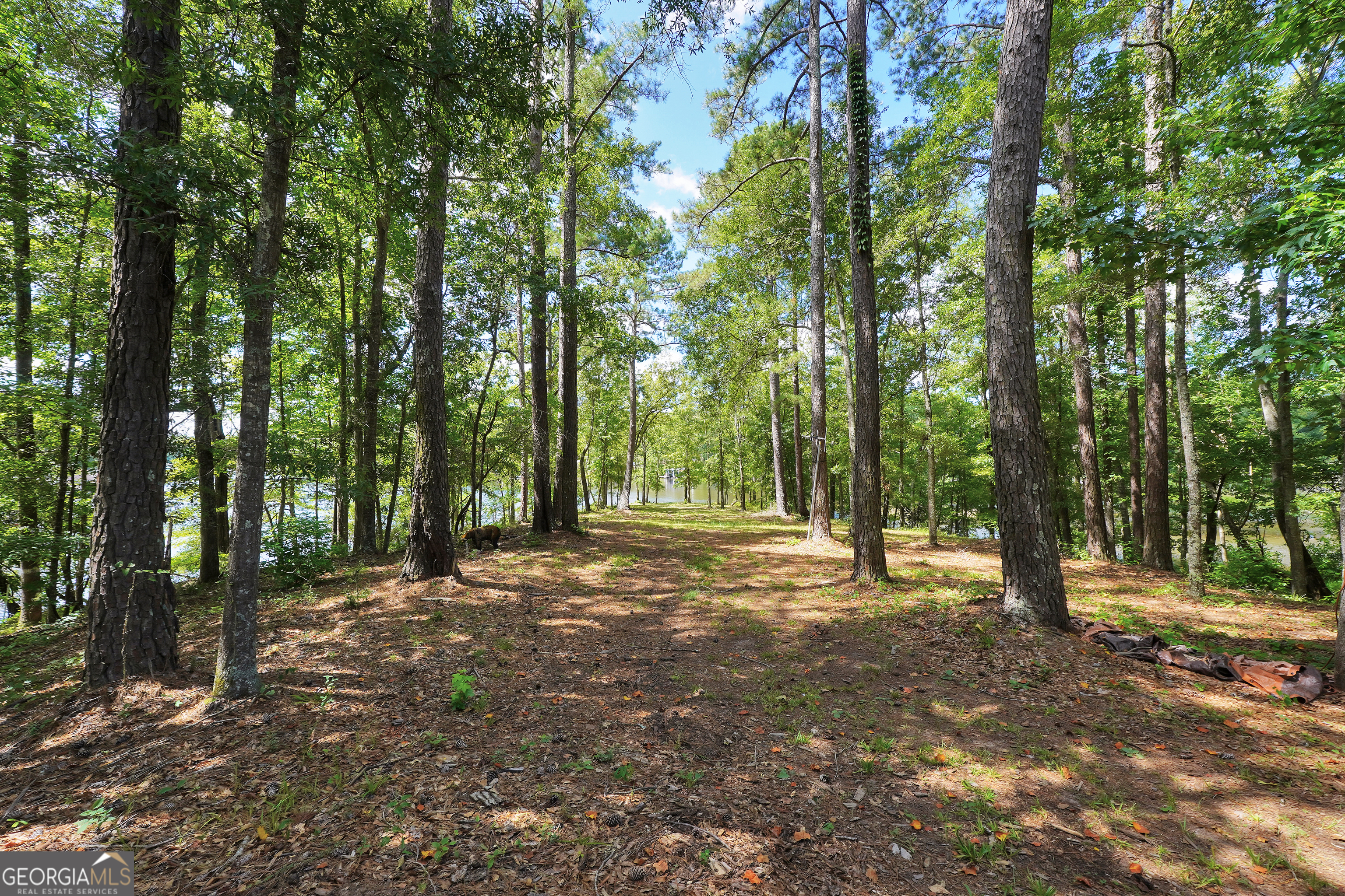 0 Scuffleboro Road Southeast Eatonton, GA 31024 - Photo 20 of 77 a view of outdoor space with trees all around