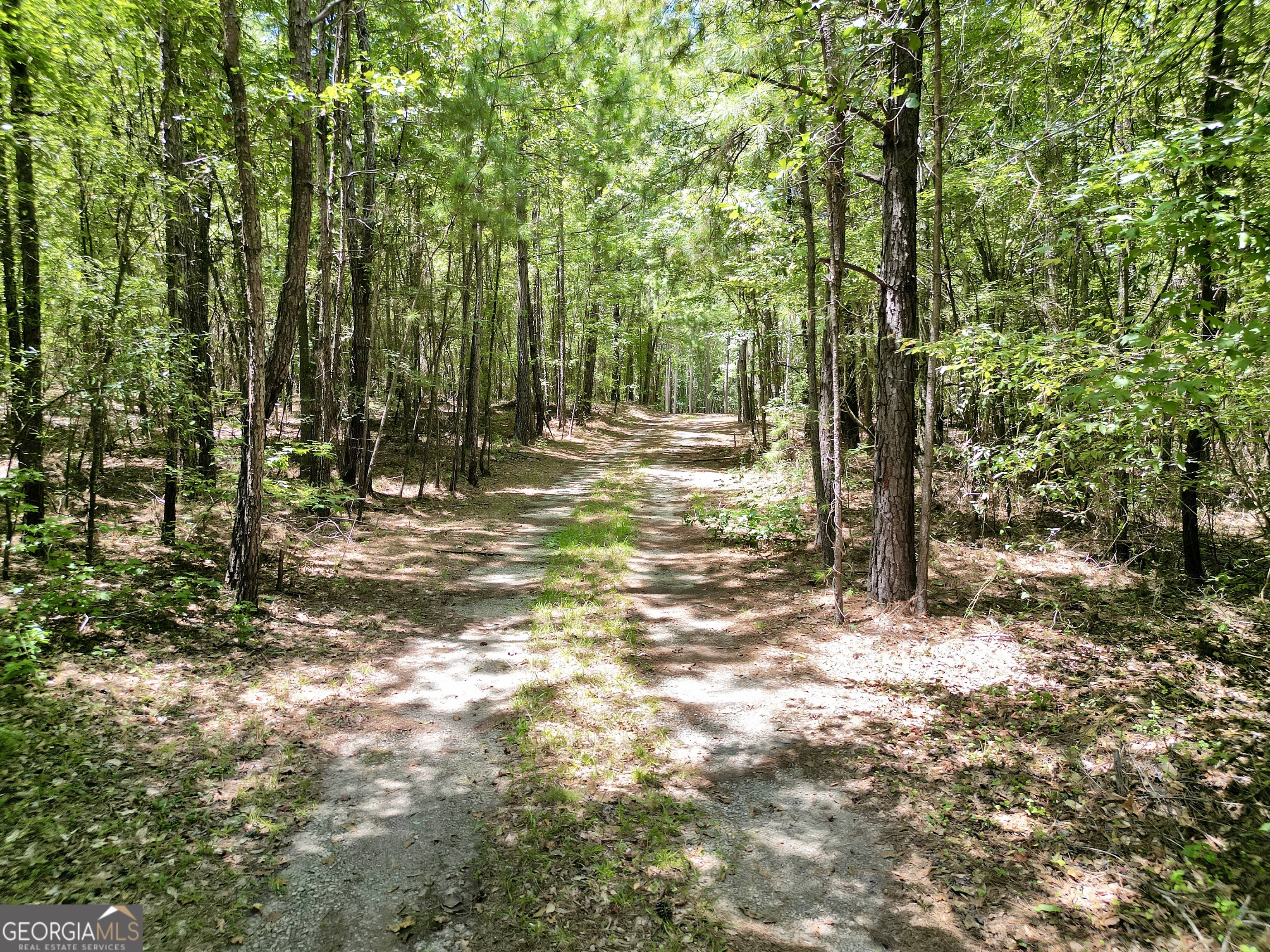 0 Scuffleboro Road Southeast Eatonton, GA 31024 - Photo 28 of 77 a view of a tree in the middle of a yard