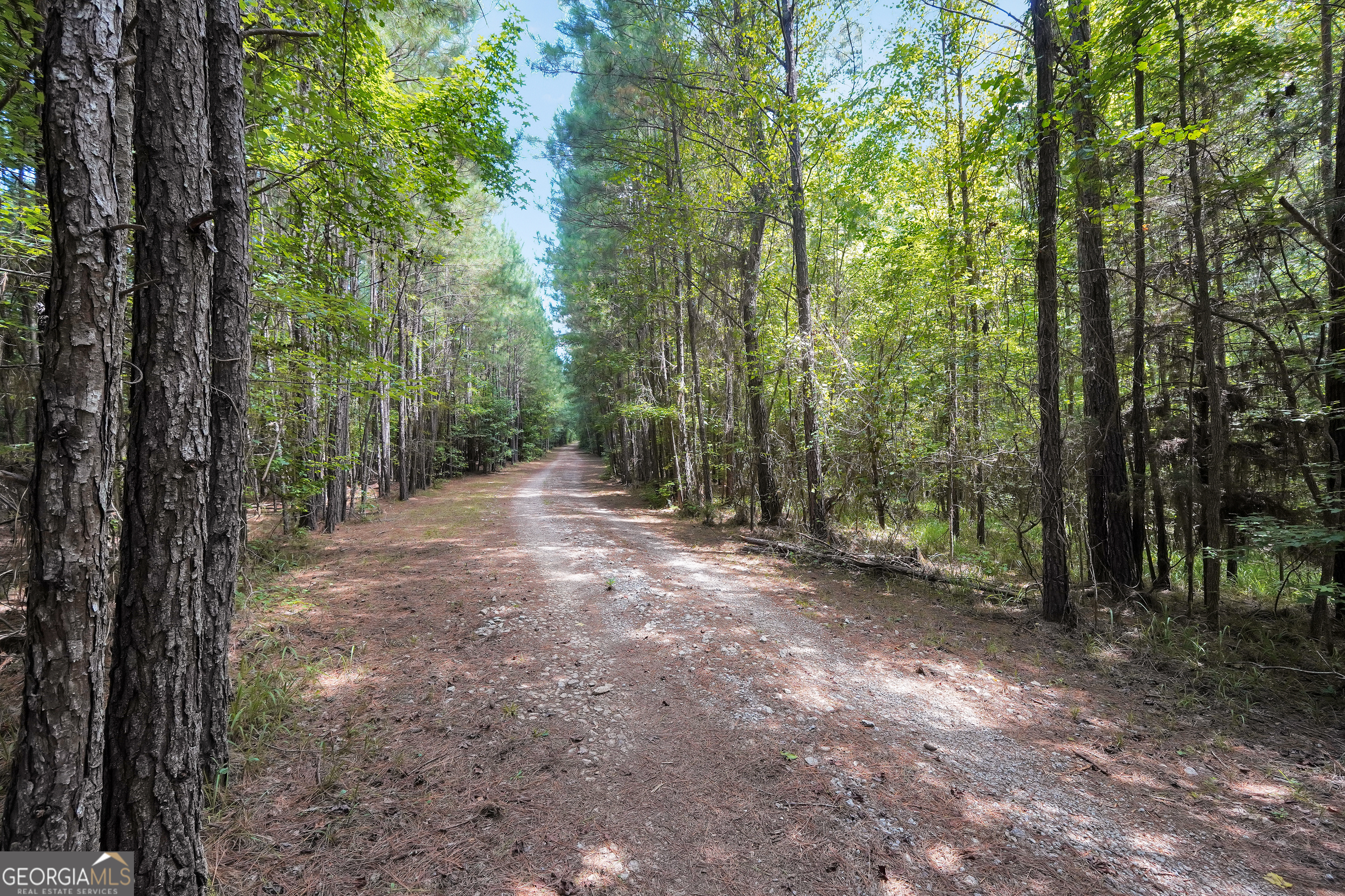 0 Scuffleboro Road Southeast Eatonton, GA 31024 - Photo 30 of 77 a view of a forest with trees in the background