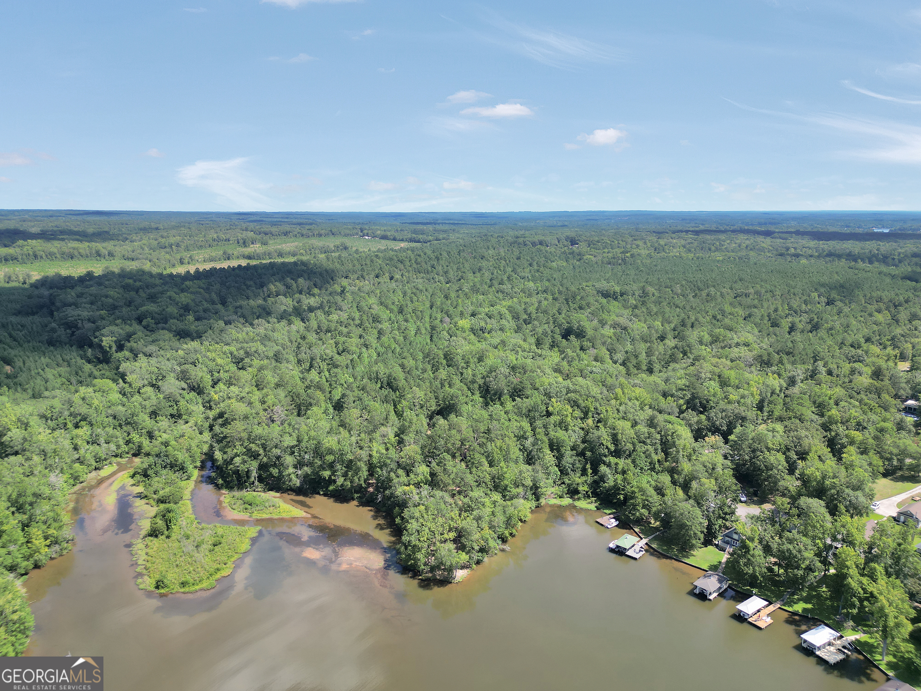 0 Scuffleboro Road Southeast Eatonton, GA 31024 - Photo 3 of 77 an aerial view of a houses with a yard