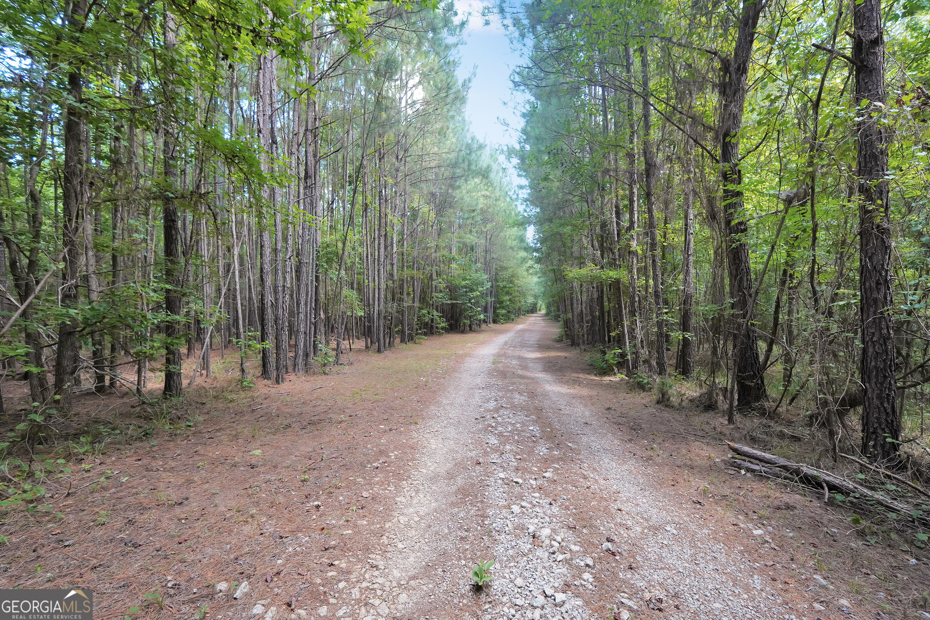 0 Scuffleboro Road Southeast Eatonton, GA 31024 - Photo 31 of 77 a view of a forest with trees